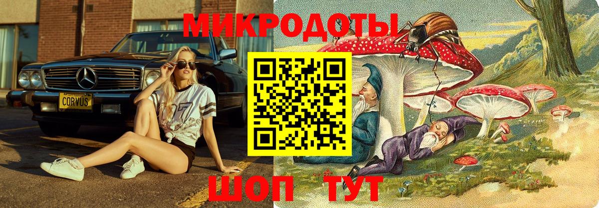 Псилоцибиновые грибы Cubensis Стрежевой