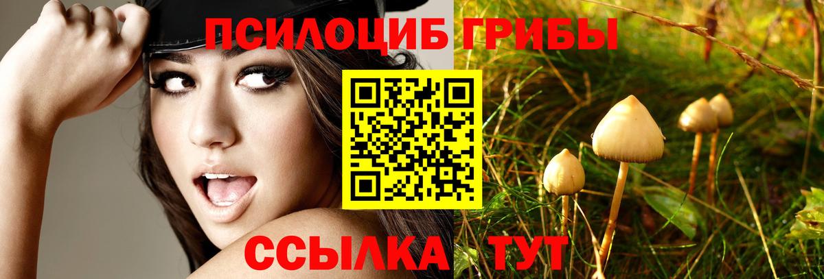 Псилоцибиновые грибы Psilocybe  Галлюциногенные грибы мицелий  Стрежевой  Вход с VPN 